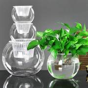 水培花盆植物玻璃瓶水养绿萝花瓶大号透明玻璃圆球鱼缸器皿容器厂