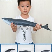 大号仿真海洋动物海豚玩具鲸鱼模型软胶充棉塑胶S软体柔软耐摔玩