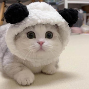可爱熊猫毛绒宠物帽子猫咪，头套狗狗头饰泰迪比，熊猫帽宠物用品