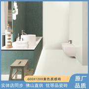 广东佛山瓷砖亮光砖600x1200数码釉布纹微水泥瓷砖客厅纯色通体砖
