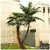 室内外弯杆棕榈树人造椰子树，假扇葵树优美造型，树场景装饰假植物
