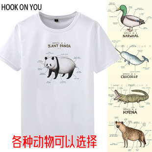 动物解析创意图案熊猫猩猩，恐龙犀牛鸵鸟欧美风格，解剖短袖t恤