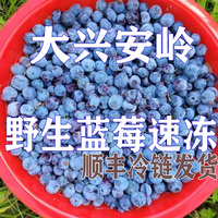 野生蓝莓蓝莓大兴安岭天然无农药