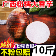 正宗广西桂林粉糯大芋头新鲜10斤大香芋，当季蔬菜毛芋头(毛芋头)芋艿整箱