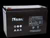 风帆阀控式蓄电池12V100AH储能铅酸免维护6-GFM-100直流屏UPS专用