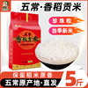 新货东北香稻大米5斤圆粒米长粒香非五常非稻花香10斤5kg珍珠