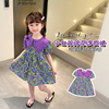 韩系童装女夏款连衣裙紫领大花棉布裙时髦洋气小童春装女织里