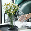 北欧简约创意ins 轻奢透明花瓶水养绿萝鲜花玻璃插干花器客厅摆件