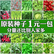四季蔬菜种子香菜菠菜青菜，葱油麦菜白菜，萝卜籽黄瓜南方生菜籽种孑