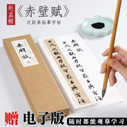 纸中作乐赵孟俯前后赤壁赋行书楷书，毛笔临摹书法字帖教程，放大赵孟眺近距离对临字帖