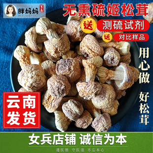 姬松茸干货500g云南特产，无硫巴西菇食用野生菌，菇松茸搭配羊肚菌