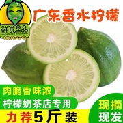 广东香水柠檬青柠檬，5斤新鲜采摘无籽柠檬，水果奶茶店专用