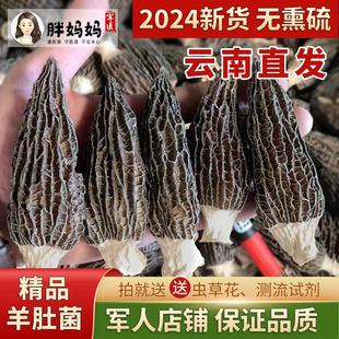 2024新货羊肚菌干货，野生500g云南纯天然无添加特级虫草花牛肚菌