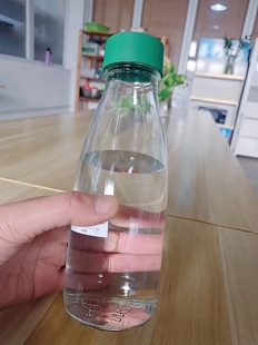 斯坝唐 水瓶透明玻璃便携杯子饮料果汁瓶子500毫升宜家国内