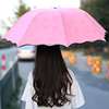遇水开花伞晴雨伞折叠太阳伞黑胶，防紫外线三折伞男女学生韩版