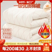 新疆一级长绒棉被棉花被子被芯棉絮床垫被褥子手工冬被全棉纯棉花
