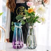 特大号玻璃花瓶透明水养富贵竹百合转运花瓶客厅插花欧式花瓶摆件