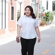 夏季 韩版时尚大码翻领纯色衬衫女短袖宽松型休闲衬衣运动T恤