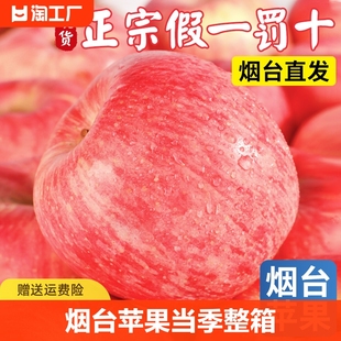 烟台红富士苹果水果，10斤当季整箱正宗山东栖霞新鲜苹果