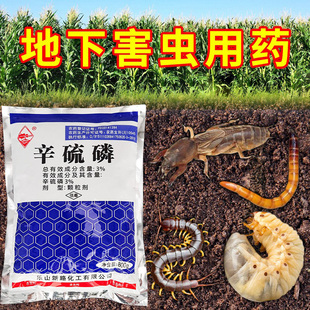 辛硫磷颗粒土壤杀虫剂地下上害虫蛴螬蚂蚁，蝼蛄辛硫鳞专用农药大全