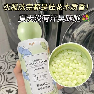 桂花衣物留香珠洗衣服家用持久留香抑菌除螨祛异味柔顺护衣防静电