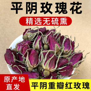 平阴玫瑰花茶无硫干玫瑰花蕾装袋天然泡水山东重瓣玫瑰花茶