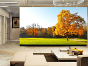 大型壁纸定制高清森林田园壁画郊外风景摄影客厅沙发电视背景墙