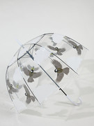 沛欣雨伞女印花泡泡伞，拱形伞芭蕉叶豹纹鸟，自动长柄伞透明伞