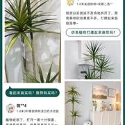 客厅假花仿真花落地高轻奢仿真绿色植物龙血树大型室内假植物盆