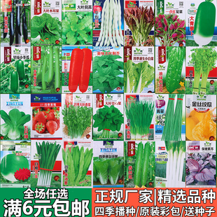 蔬菜种子四季播种香菜，菠菜生菜丝瓜小葱阳台，草莓盆栽萝卜籽孑大全