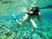 Dicapac专业单反防水罩水下潜水摄影相机包袋套壳佳能5D3 60D尼康