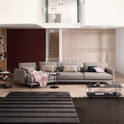 RolfBenz布艺沙发现代简约小户型组合客厅异形转角意式极简皮沙发