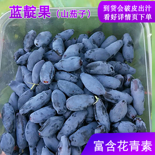 东北非蓝莓野生蓝靛果山茄子新鲜到货出汁2斤装7-8月上市过季速冻