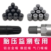 宝马气门嘴盖5系3系，1系7系新x1x2x3x4x5x6x7专用气门帽改装保护盖