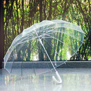 qiutong16骨网红复古透明雨伞长柄透明伞，自动文艺伞可定制广告伞
