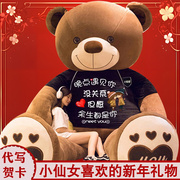大熊毛绒玩具公仔布洋娃娃抱抱熊泰迪熊猫大号新年玩偶女生日礼物