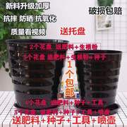 2020火龙果盆栽专用盆大口径，花盆30-35cm大芦荟超大种葡萄的陶花
