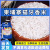超长粒香猫牙大米2023年新米正宗柬埔寨茉莉，香米丝苗米炒饭专用米