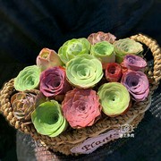 多肉植物 山地玫瑰组合盆栽 枫灵 多肉拼盘 含花篮 种好