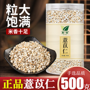 五谷杂粮新米贵州薏米小薏仁米，新货小薏米粗粮500g罐装