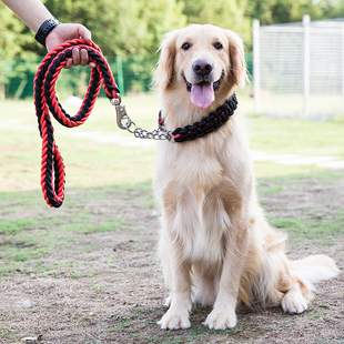 狗狗牵引绳中型大型犬金毛狗绳子，拉布拉多狗链子，狗脖圈狗项圈p链