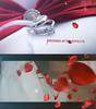 婚礼仪式玫瑰花瓣过渡转场的婚礼，预告开场图文仪式视频包装ae模板