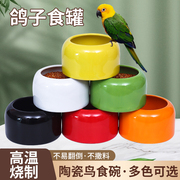 彩釉陶瓷食罐防撒防溅鸟，食盒水碗喂食盒，水槽鸟罐鸽子用品用具鸽具