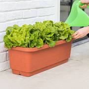 家庭有机蔬菜种植箱种菜神器长方形树脂加厚环保花盆阳台室外大号
