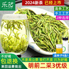 2024年新茶-乐茁安吉白茶，3优-开园二采明前特级正宗珍稀春茶125g