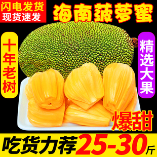 海南三亚菠萝蜜新鲜水果，当季黄肉一整个整箱，10-35斤木波罗蜜特产5