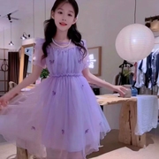 女童公主裙2024夏季儿童蓬蓬，纱裙蝴蝶裙子紫色礼服女孩连衣裙