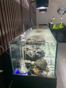 溪流水草缸创意造景超白玻璃鱼缸生态鱼缸水族箱不含灯a.