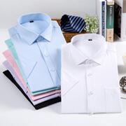 夏季男式商务短袖衬衫修身职业正装纯色棉质面试白衬衣工装耐磨