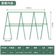 豆角黄瓜爬藤架种菜架子庭院z葡萄架包塑钢管植物支架户外攀爬